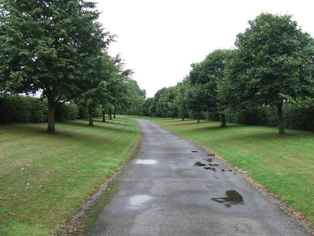 A paved path flanked by trees in a park.