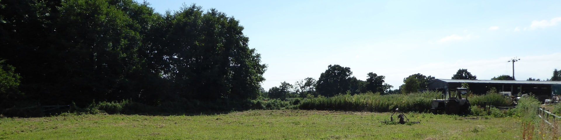 Geldeston Meadows is a Site of Special Scientific Interest near Geldeston in Norfolk.