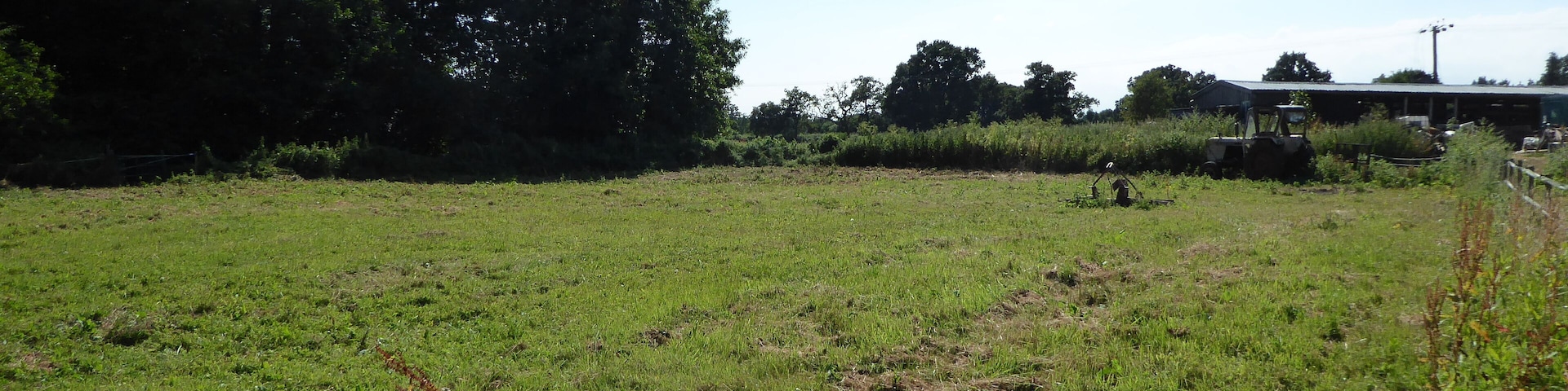 Geldeston Meadows is a Site of Special Scientific Interest near Geldeston in Norfolk.