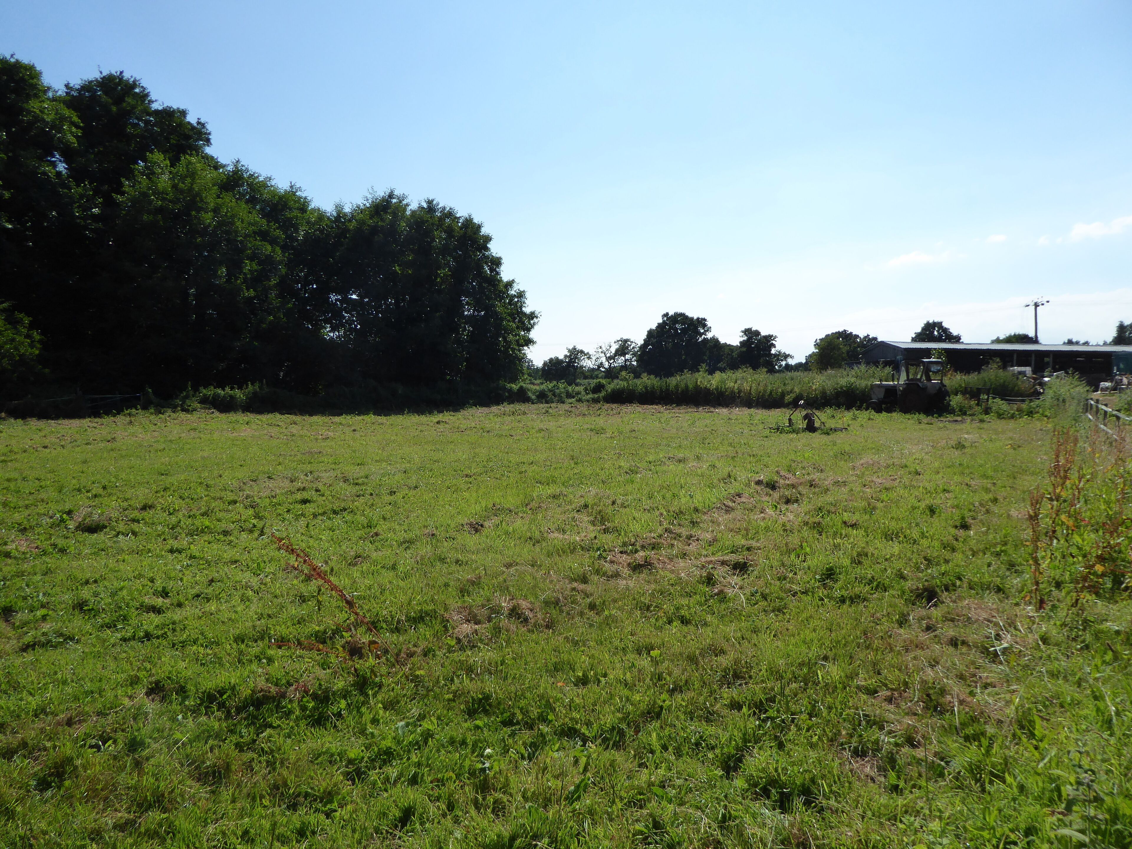 A grassy field with a tractor in the distance, surrounded by trees and a building.