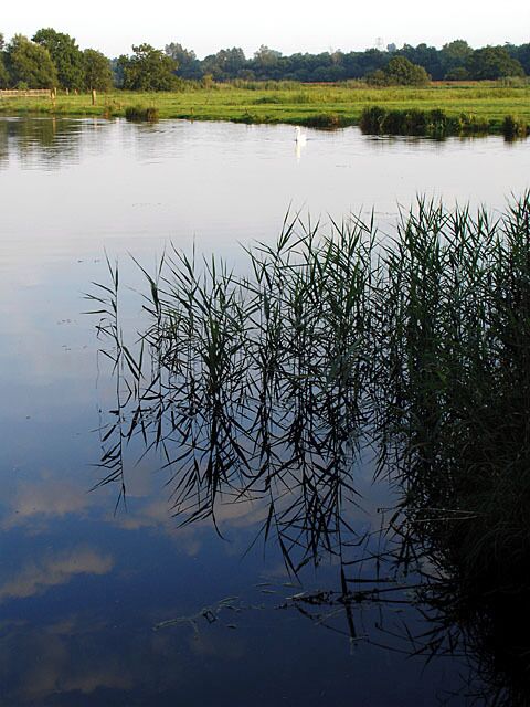 River Waveney at Geldeston Lock. Taken from one of the footbridges.