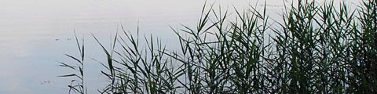 River Waveney at Geldeston Lock. Taken from one of the footbridges.