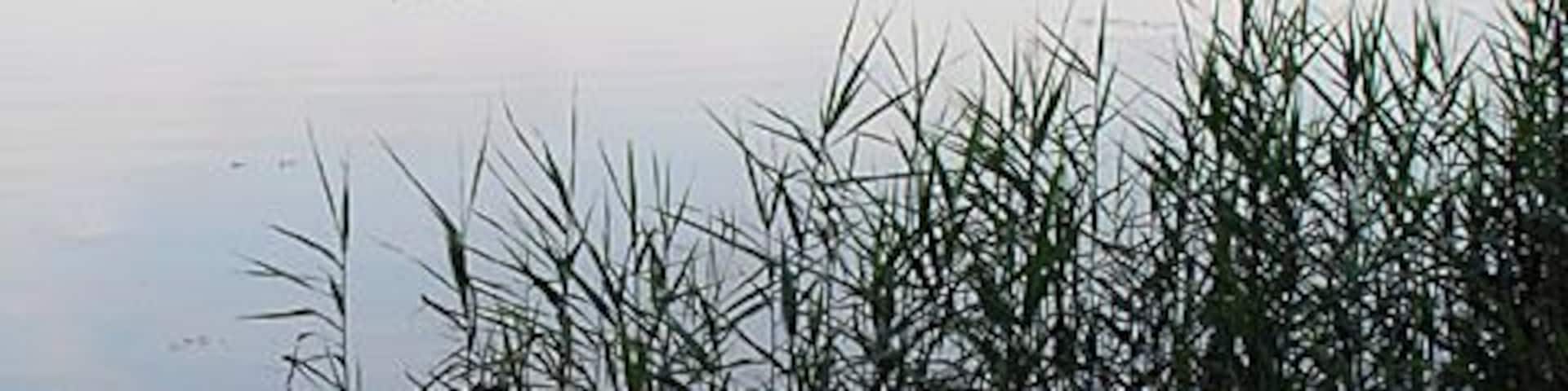 River Waveney at Geldeston Lock. Taken from one of the footbridges.