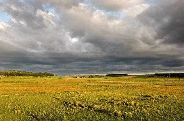On the edge of Leuchar Moss Leuchar Moss is a bog, now partly drained and cultivated. (The term "moss" is frequently used in Aberdeenshire for a bog.) A small area of raised ground on the north edge of the moss provides the photographer's location and a point from which it is possible to look down onto and across the area. The farm called Leuchar is in the distance. About an hour before sunset the moss was flooded with golden sunlight.