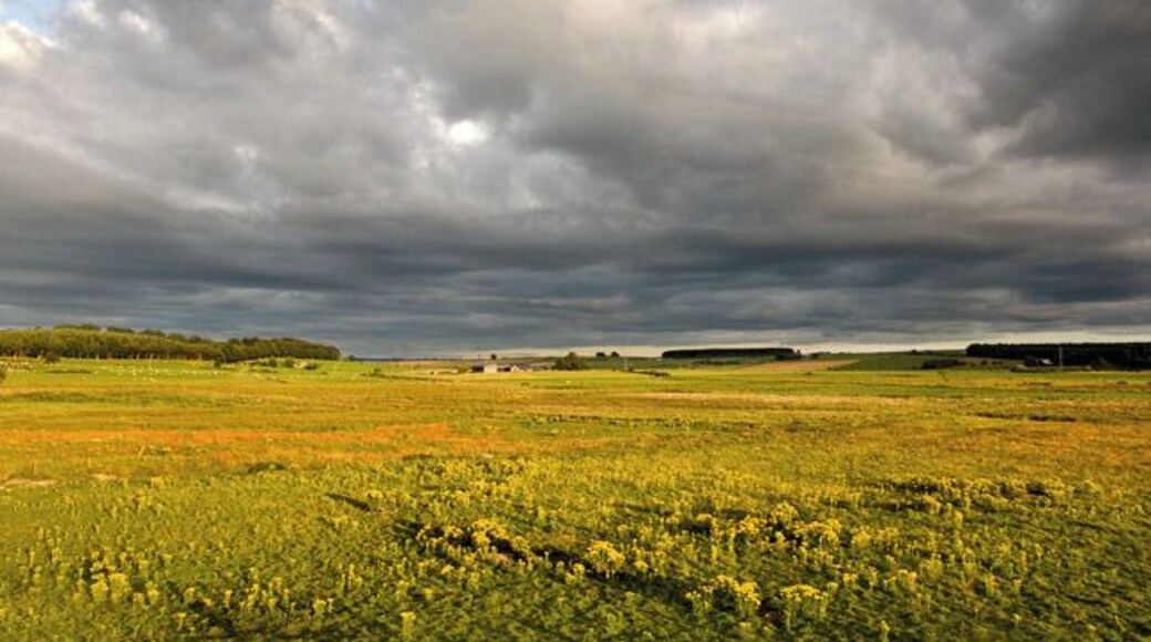 On the edge of Leuchar Moss Leuchar Moss is a bog, now partly drained and cultivated. (The term "moss" is frequently used in Aberdeenshire for a bog.) A small area of raised ground on the north edge of the moss provides the photographer's location and a point from which it is possible to look down onto and across the area. The farm called Leuchar is in the distance. About an hour before sunset the moss was flooded with golden sunlight.