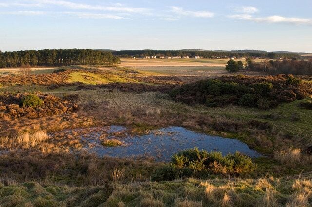 A pond close to Leuchar Moss The pond was hidden in this area of raised ground above Leuchar Moss. The houses in the distance are at Roadside of Garlogie