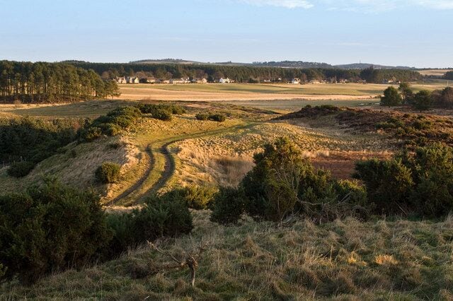 Track to Leuchar Moss