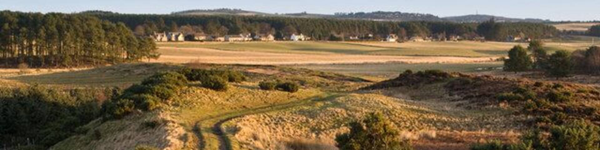 Track to Leuchar Moss