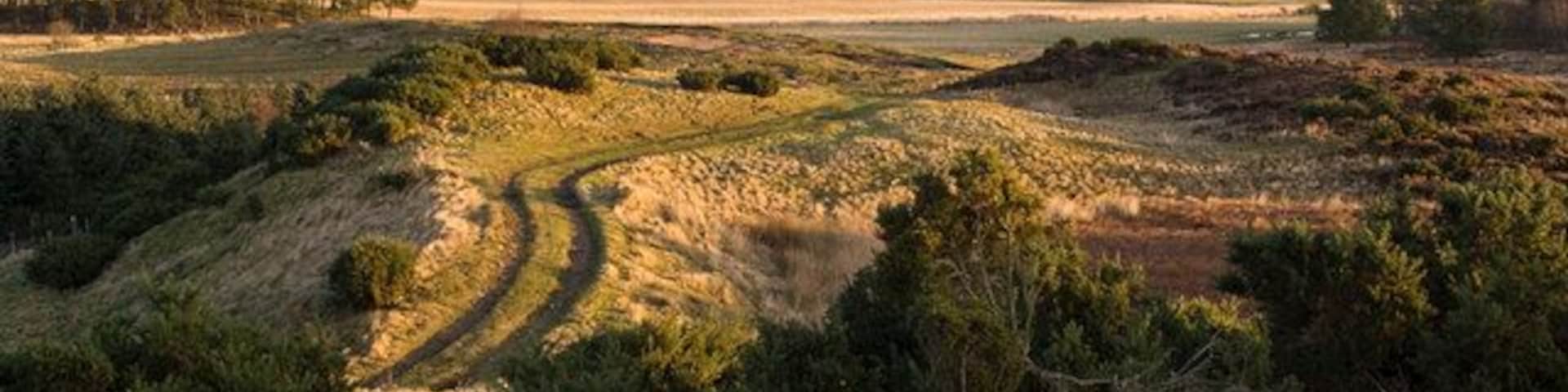 Track to Leuchar Moss