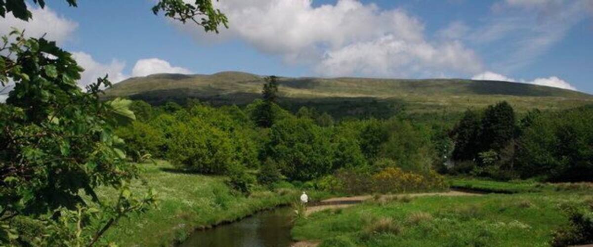 A river flowing through a lush valley with a bridge in the foreground.