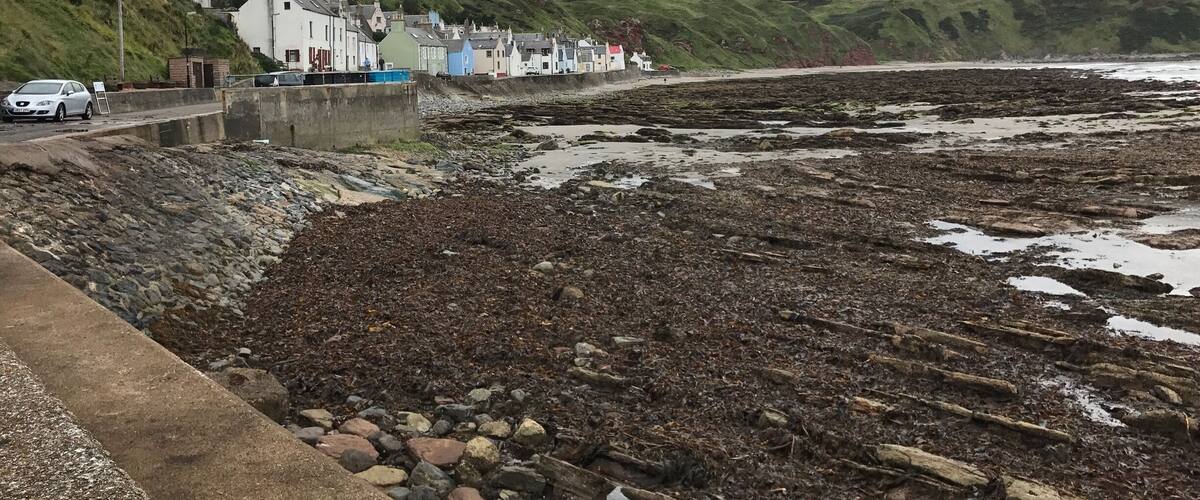 A coastal town with houses along the shore, rocky beach, and hills in the background.