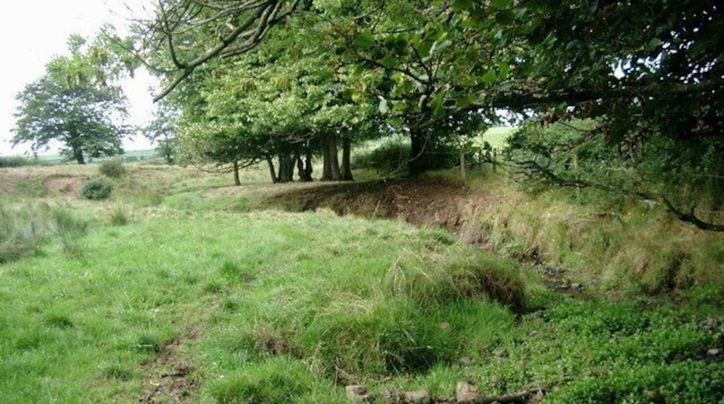 Burn without destination. This burn disappears into the ground a few hundred yards further on - and does not re-emerge.