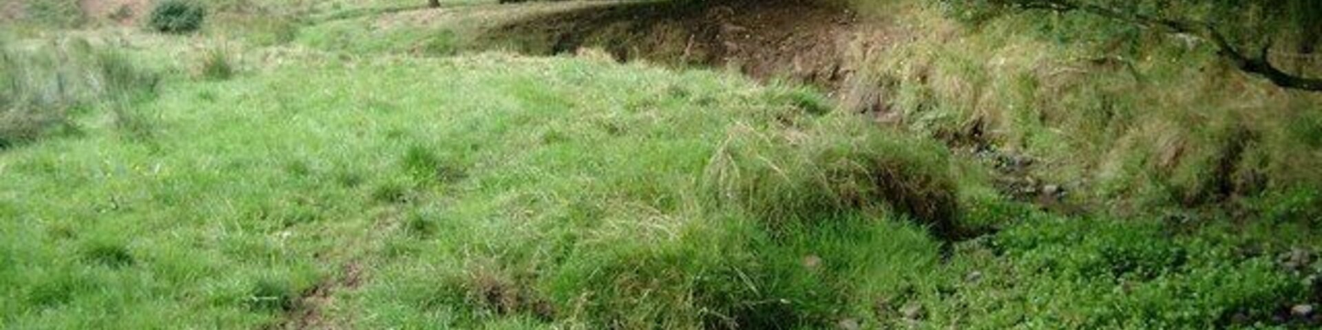 Burn without destination. This burn disappears into the ground a few hundred yards further on - and does not re-emerge.