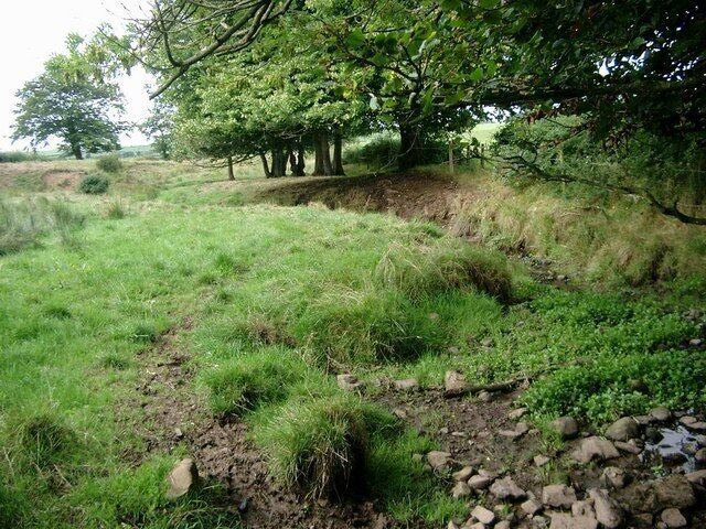 A grassy field with a small stream, trees, and a rocky area.