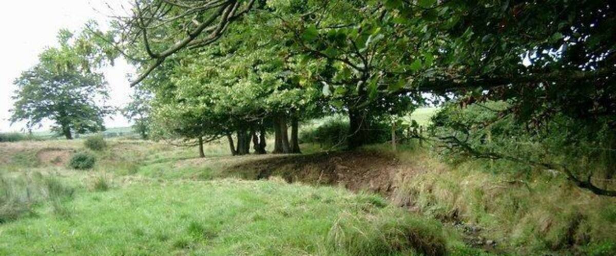 A grassy field with a small stream, trees, and a rocky area.