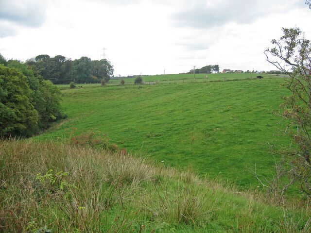 Field, Alton Burn The burn is almost hidden from this view point as the fields slope steeply towards it.