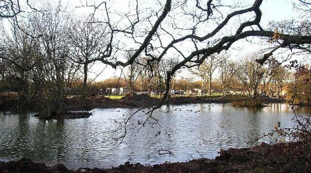 Pond, Newells Lane. Just south of the A27(T). This view looks north west from the bridleway.