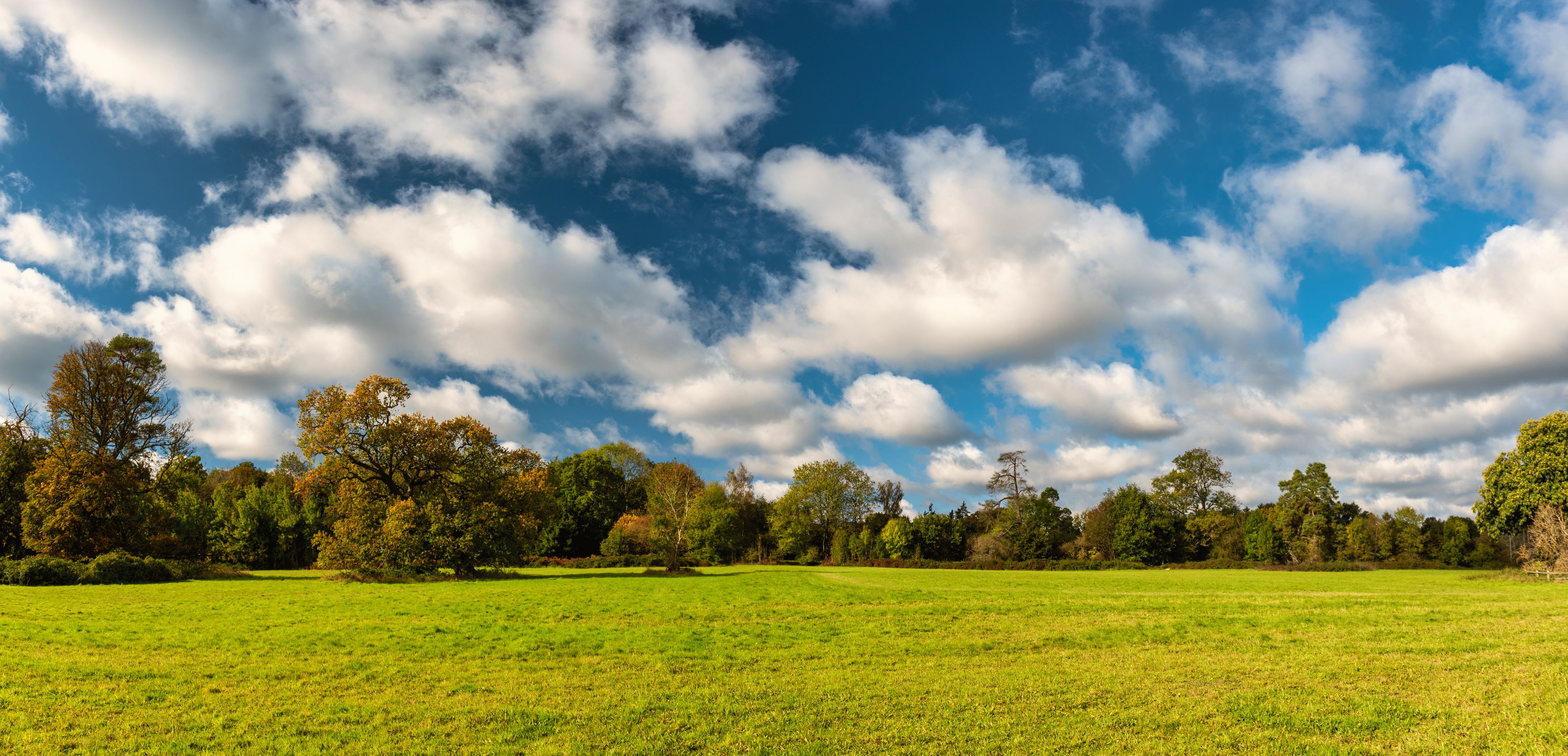 Green field around Chalfont St Giles in Autumn, England 