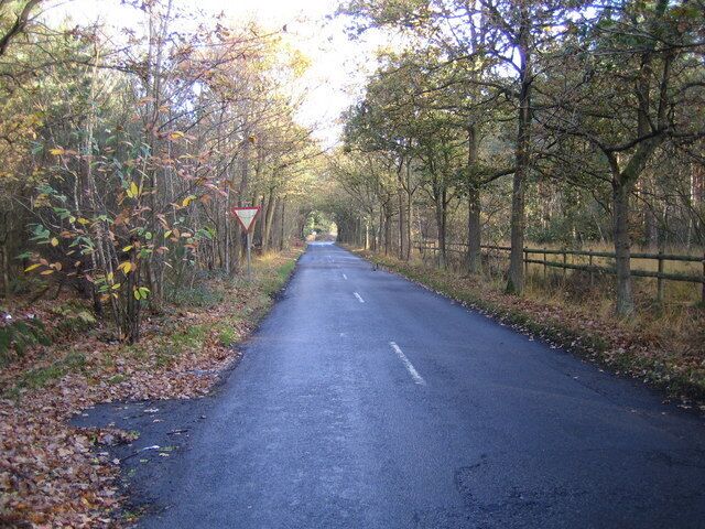 Fulmer: Black Park Road Fulmer Common wood is on the left and Heathfield Plantation to the right.