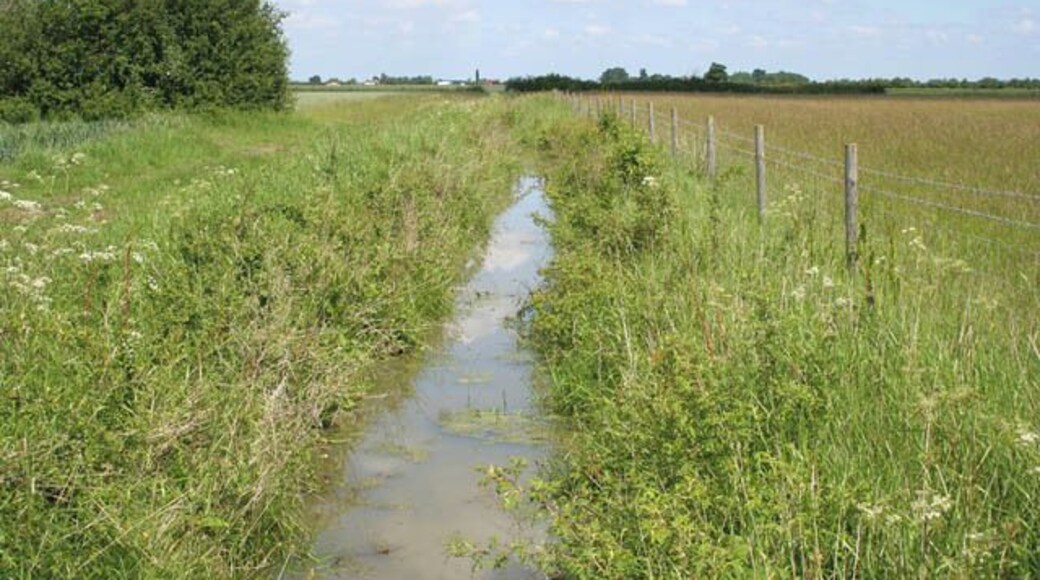 Drainage ditch near Waterloo Farm. Both Fulbeck and Leadenham Low Fields are criss-crossed by drainage ditches which tend to flow towards The Beck and the River Brant, This one didn't seem to be flowing anywhere as the far end, by the hedge in the middle distance, was dammed by a couple of concrete blocks. The buildings in the distance are Glebe Farm on the northern boundary of SK9252.