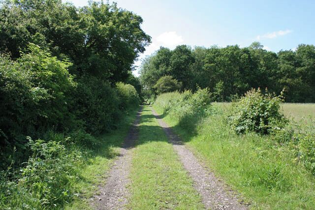 Bridleway near Waterloo Farm The trees on the left are in the featured square and those on the right are in SK9151. Looking towards Brant Road.