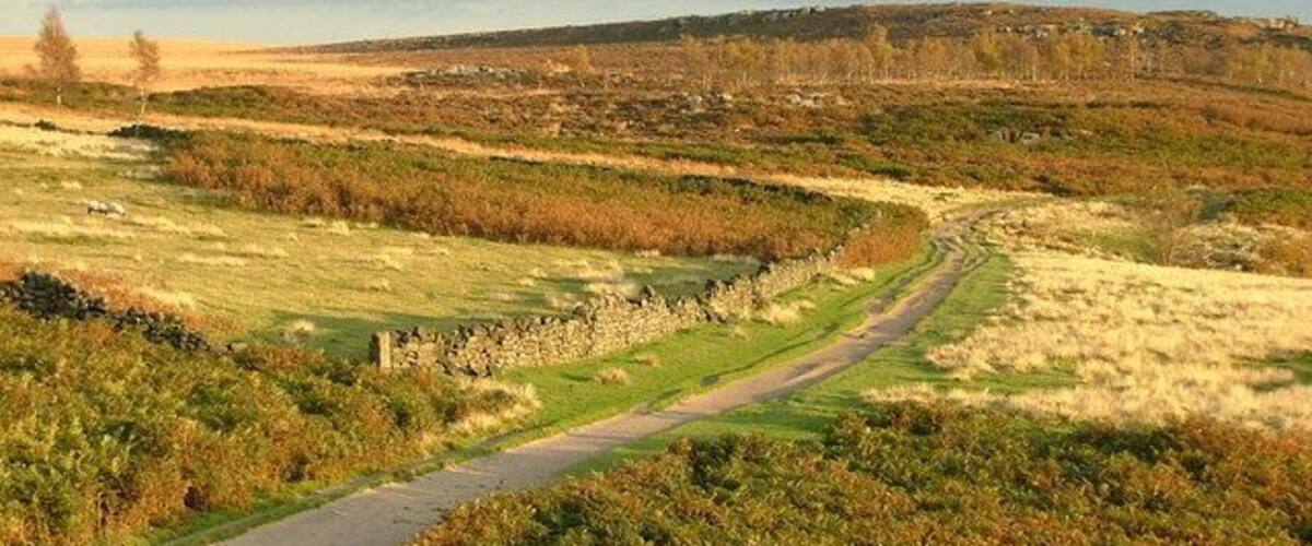 An autumn scene at Froggatt Edge Taken at the top of Froggatt Edge.