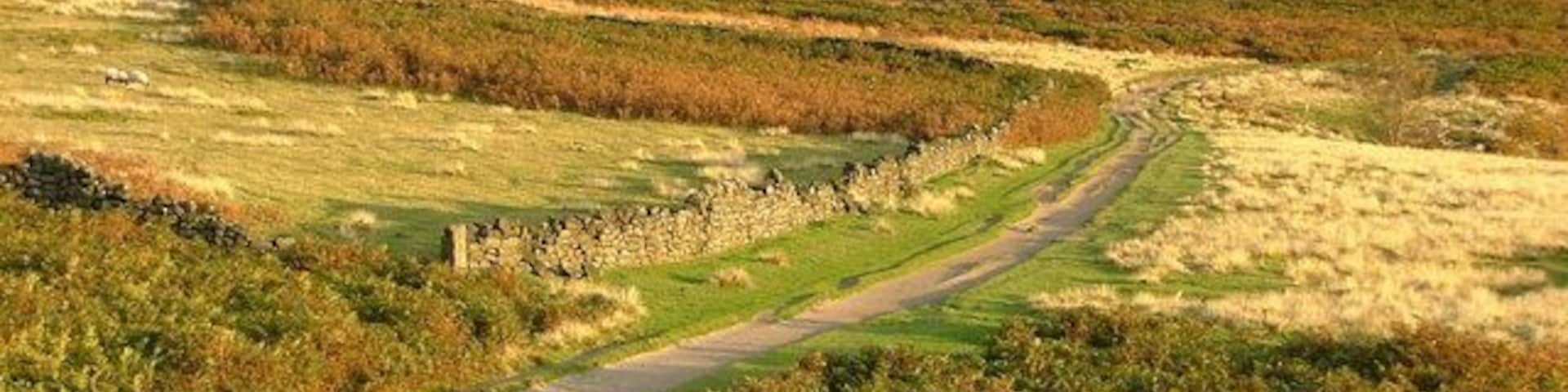 An autumn scene at Froggatt Edge Taken at the top of Froggatt Edge.