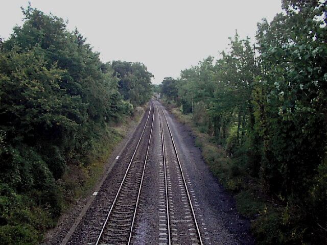 A railway track surrounded by dense greenery.