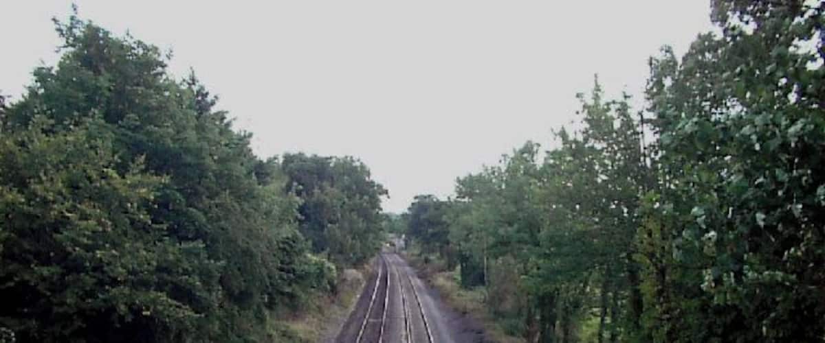 A railway track surrounded by dense greenery.