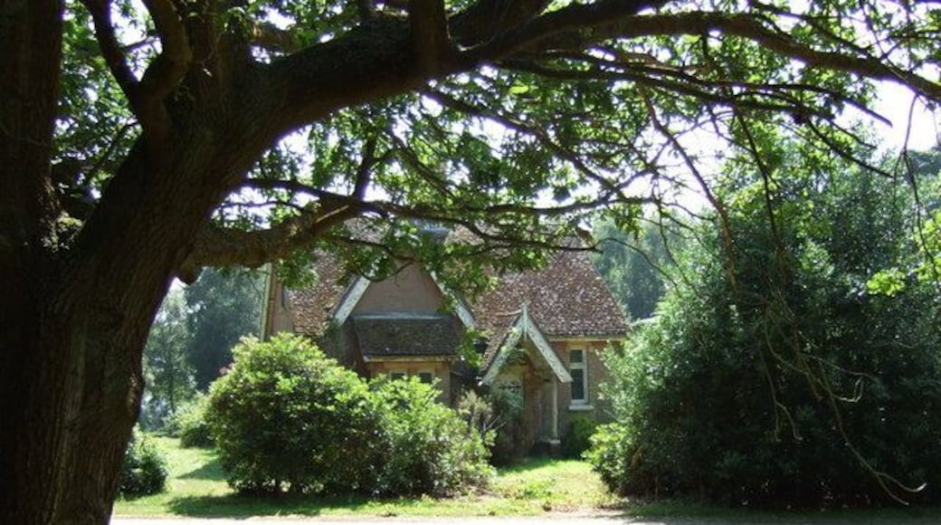 A small house in Black Heath Wood.