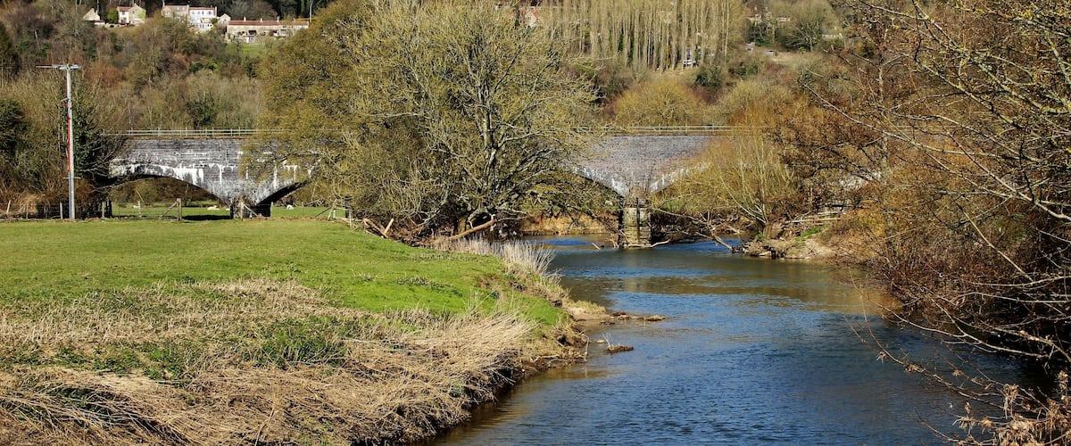 A river with a stone bridge, surrounded by trees and a grassy field.