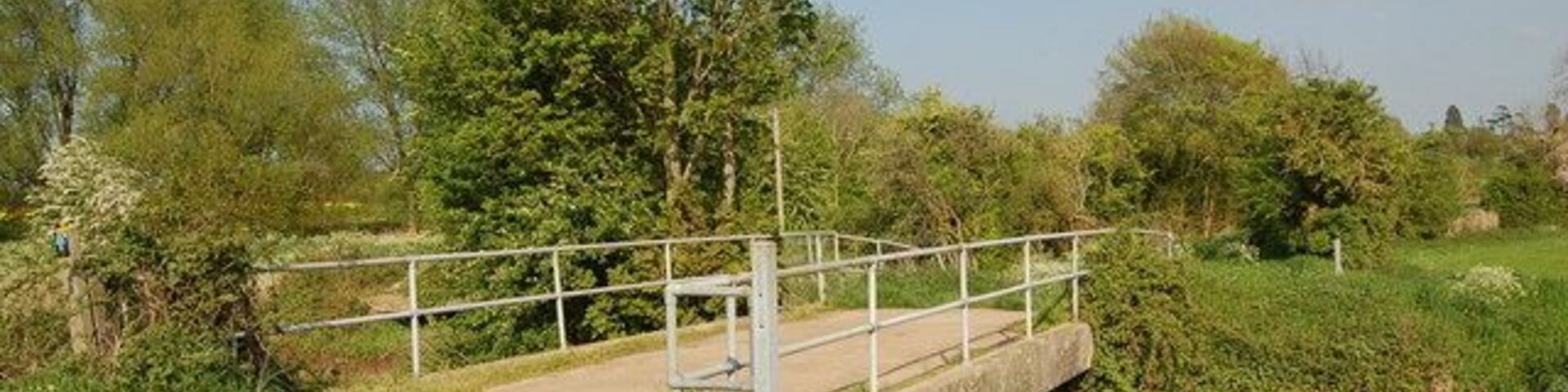 A concrete bridge over a calm river, surrounded by lush greenery and trees.