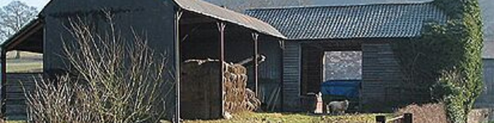 Uma estrada rural com um celeiro e uma estrutura coberta.