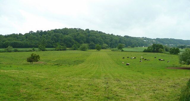 View across the Wye Valley Looking towards Ballingham Wood on the west side of the river. The valley between Ross-on-Wye and Hereford is an unspoilt gem of countryside.