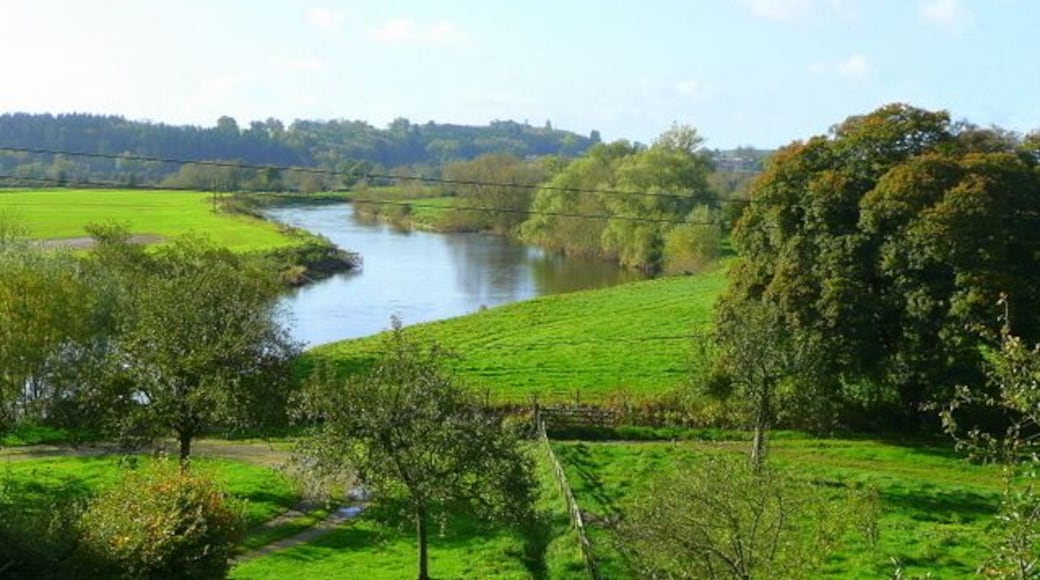 River Wye at Lechmere's Ley View west from the B4224 on a fine autumn afternoon.