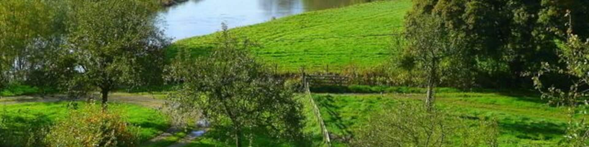 River Wye at Lechmere's Ley View west from the B4224 on a fine autumn afternoon.
