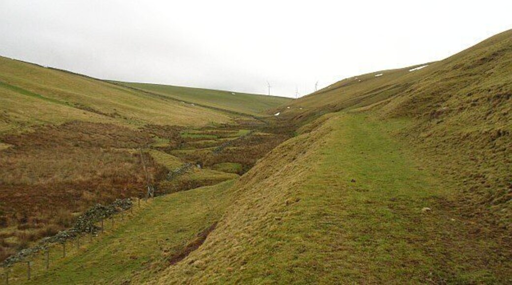 Toddle Burn A green road running beside the Toddle Burn. Its destination is a gathering pen on the confluence of the Middle and Toddle Burns. Signposted from Cortleferry it is a very enjoyable easy walk.