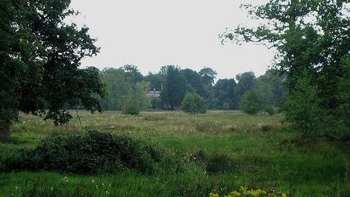 Watermeadows in Twyford Hall Park. The stream that waters these meadows joins the one seen in 528013 before they flow together into the Wensum. (Twyford Hall is visible in the distance)