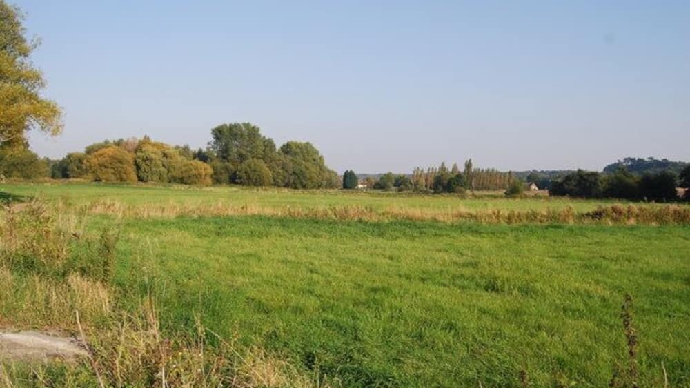 Ein grünes Feld mit Bäumen in der Ferne.