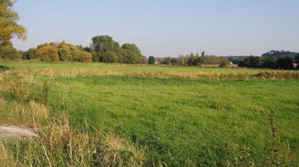 Looking SE acrossthe R. Stour's flood plain from the cycle track