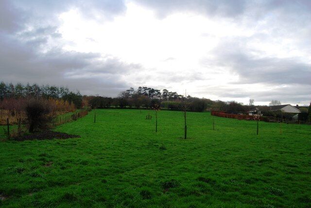 Field on the edge of Fordwich