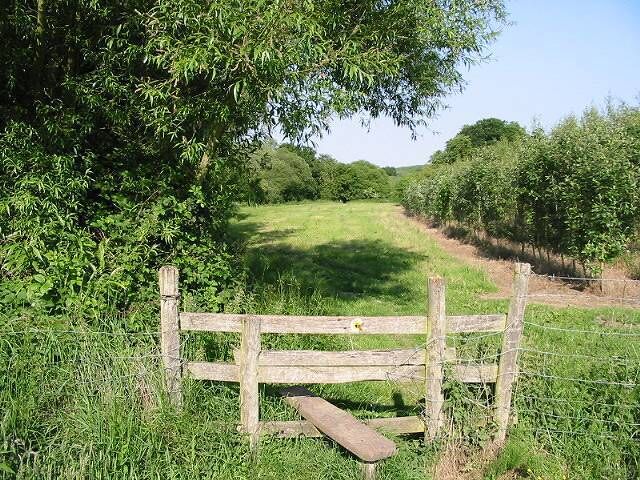 Stile on the Stour Valley Walk, looking E