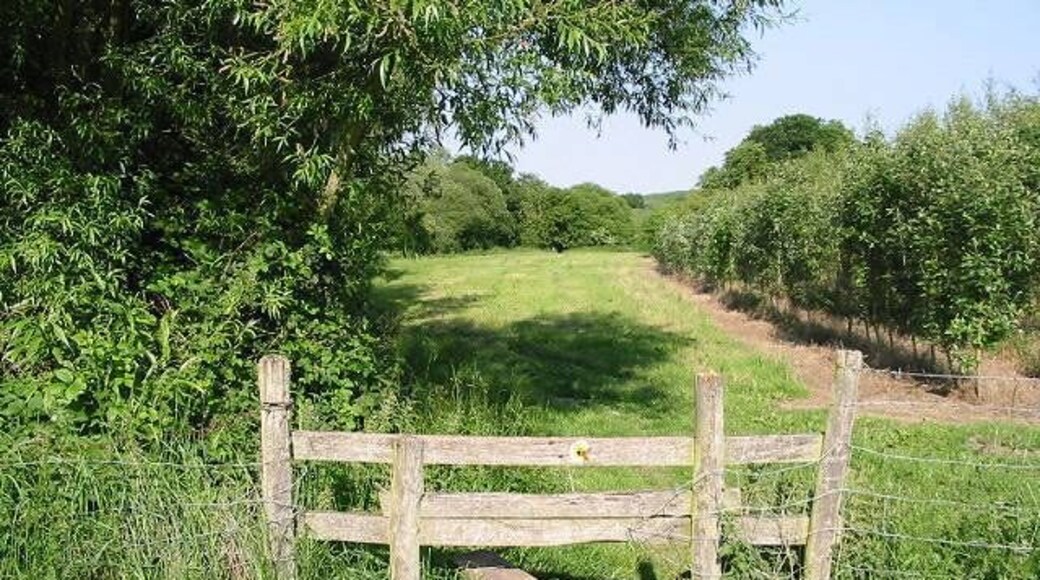 Stile on the Stour Valley Walk, looking E