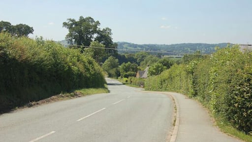 Road south from Forden church