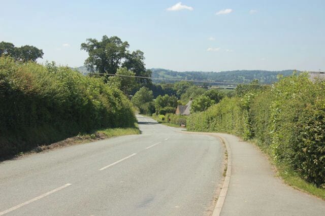 A rural road curving through a green landscape with trees and bushes on both sides.