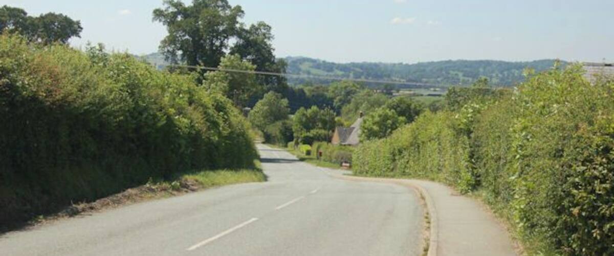 A rural road curving through a green landscape with trees and bushes on both sides.