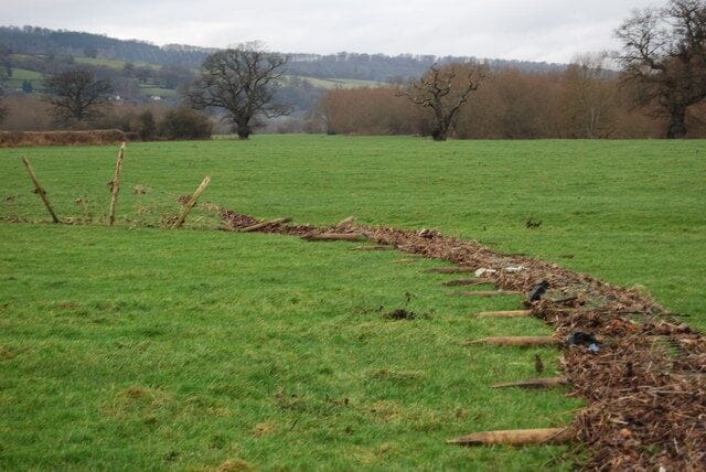 Flood damaged fencing When the Afon Hafren (River Severn) floods the debris in the water builds up on the netting and evenually the posts pop out of the ground and the fence is washed downstream. This will not be repaired until the spring when the grazing is going to be used again. The debris will be uplifted and the fence moved back to its original position.