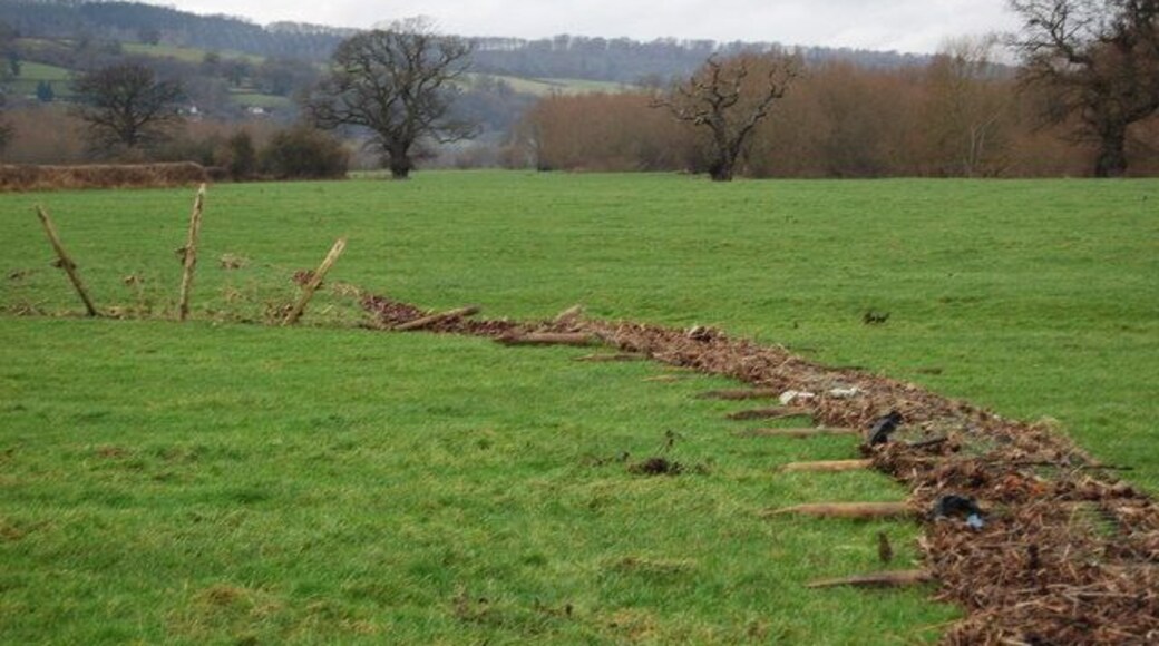 Flood damaged fencing When the Afon Hafren (River Severn) floods the debris in the water builds up on the netting and evenually the posts pop out of the ground and the fence is washed downstream. This will not be repaired until the spring when the grazing is going to be used again. The debris will be uplifted and the fence moved back to its original position.