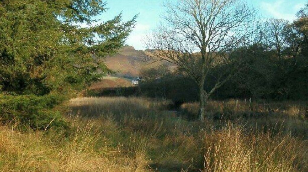 Ford River Valley. Looking NNE towards Torran.