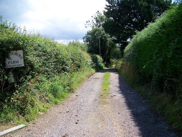 Drive to Hartgrove Farm The drive leads to the dairy unit.